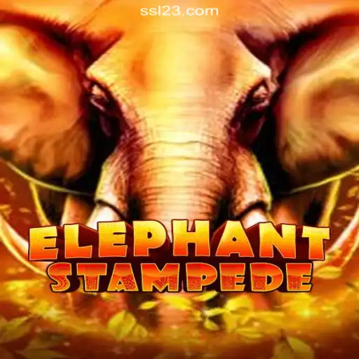 SS123.COM platform-online Slots Brasil #1 Online Baccarat
